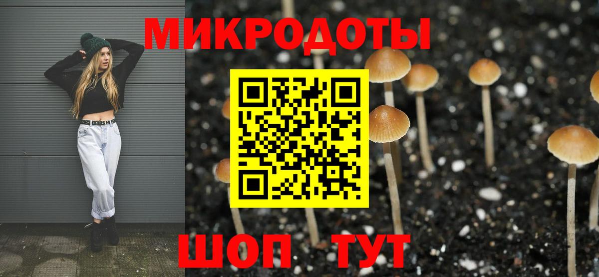 Псилоцибиновые грибы GOLDEN TEACHER Балашов